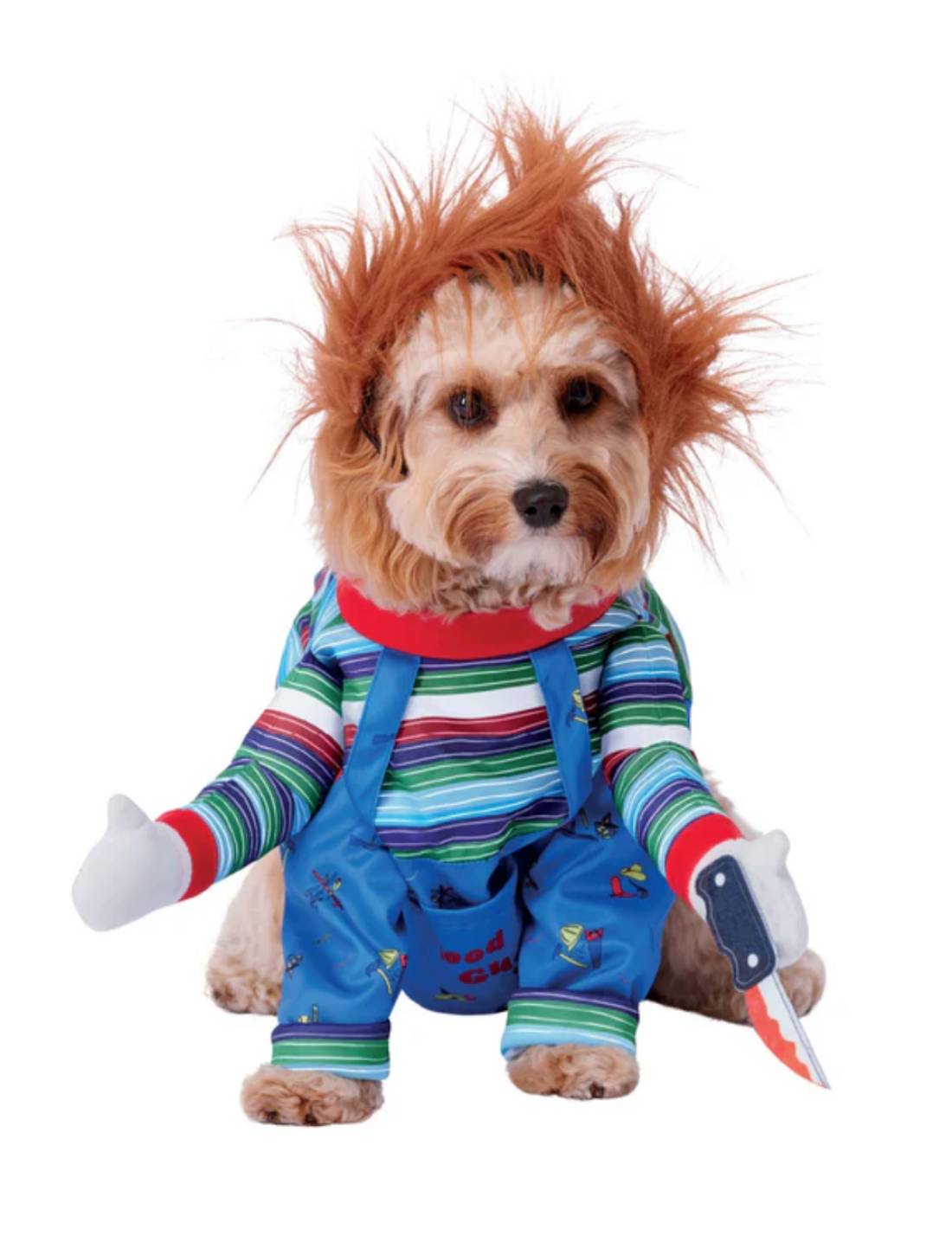 Costume Di Halloween Cane Chucky Tg.M