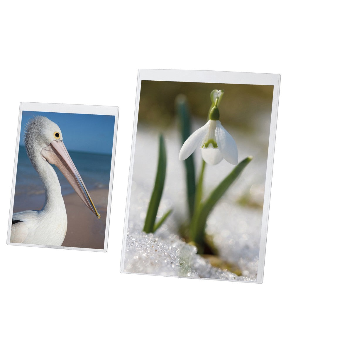 Portadepliant Semirigido In PVC A4