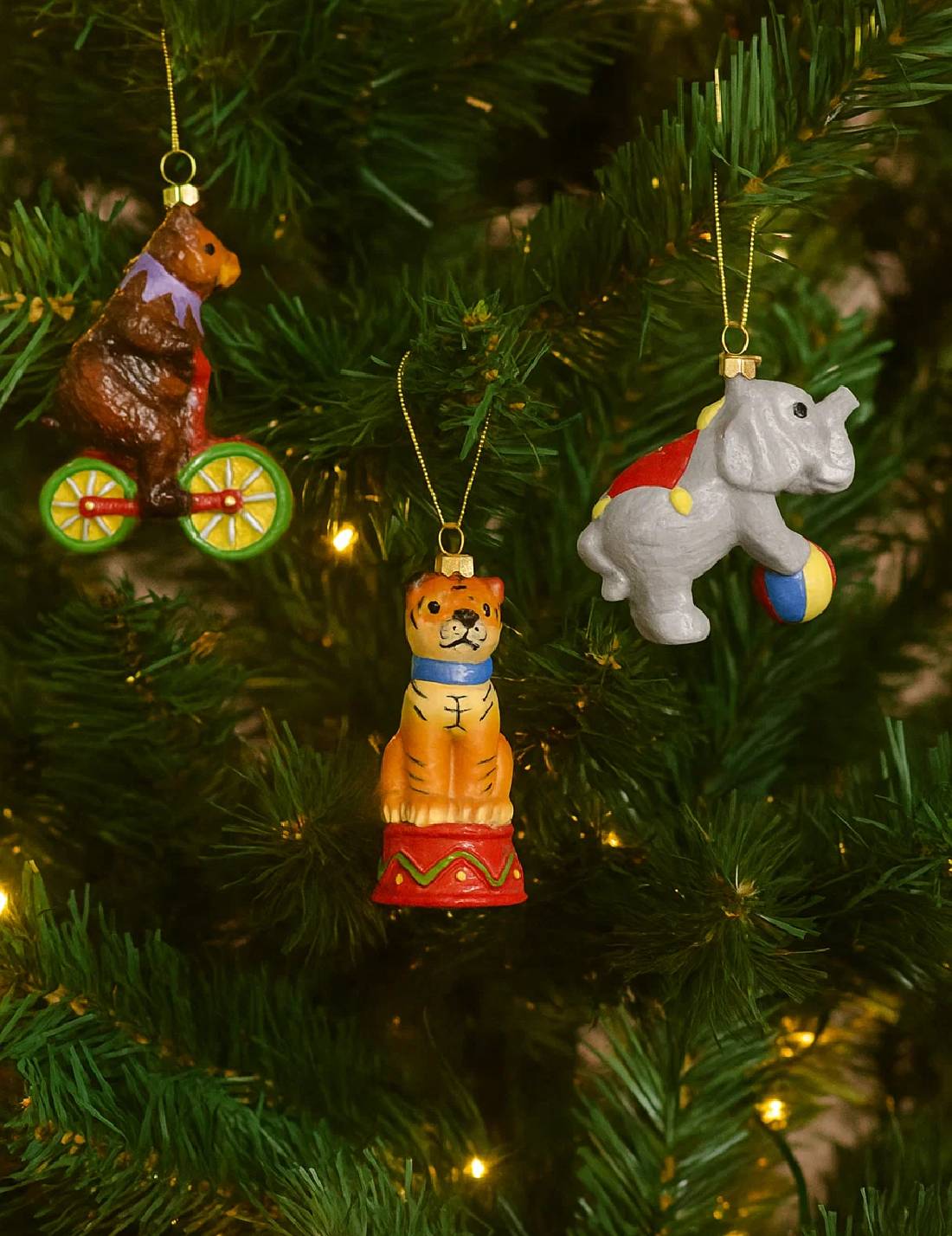 14789_2|1b007d584cd2c35c56c73a5eacff5675