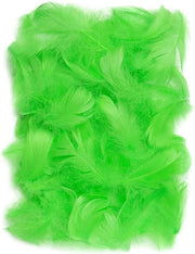 14924_1|20cb0eeb6c74e652b862b8201319974b