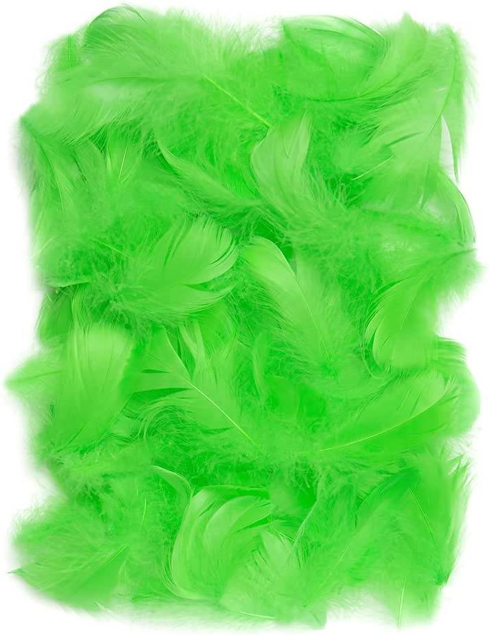 14924_1|20cb0eeb6c74e652b862b8201319974b