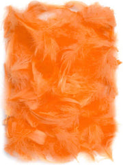 14925_1|49b34932d3a44f0a4e78507fcba1ada0