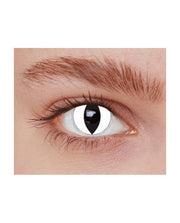 15047_1|3548f9fa5bf143d87841fa4a02bd07a2