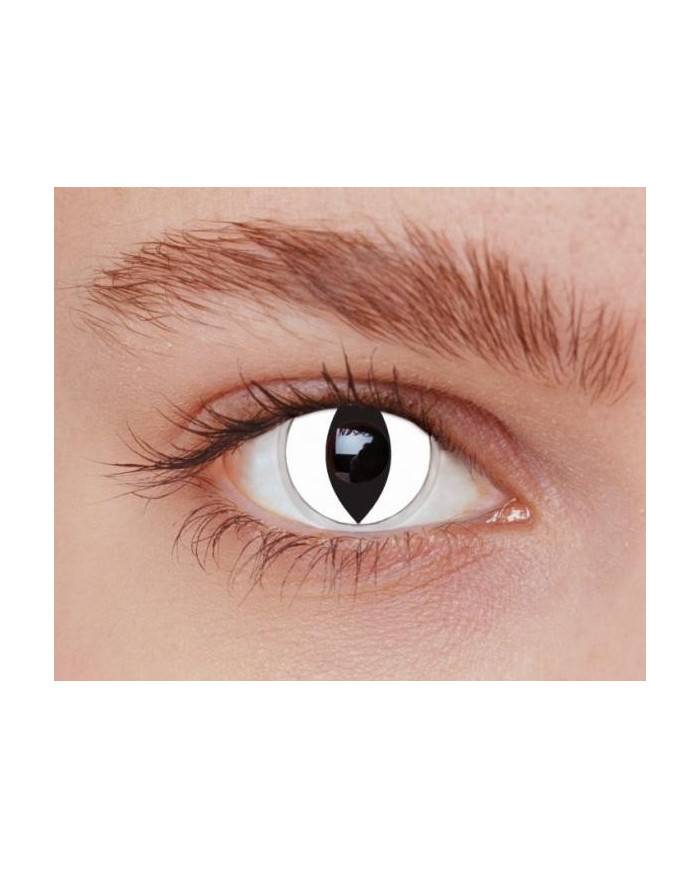 15047_1|3548f9fa5bf143d87841fa4a02bd07a2