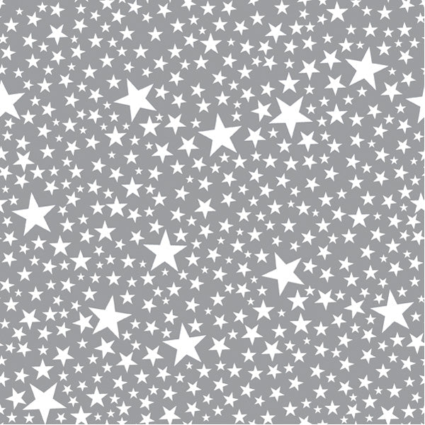 Tovaglioli Di Carta Natalizi Argento Con Stelline 33CM 20Pz