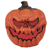 15590_1|d1b32274981885ebba24b9a649aaa062