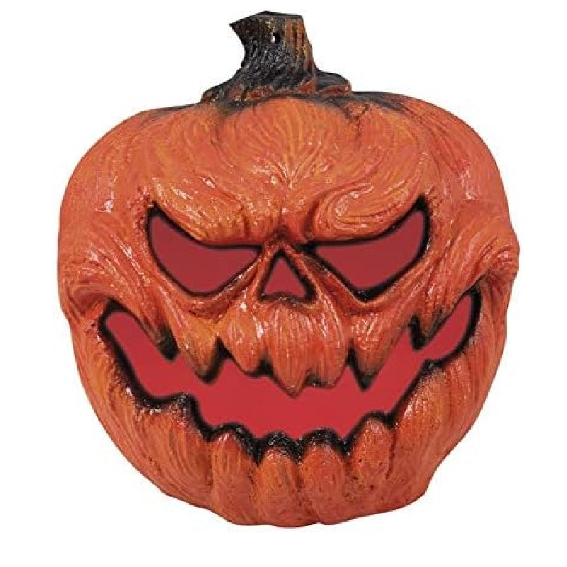 15590_1|d1b32274981885ebba24b9a649aaa062