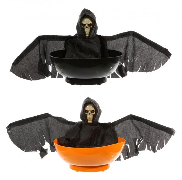 15763_1|e6ed252589a1f716357e9c37352c1c66