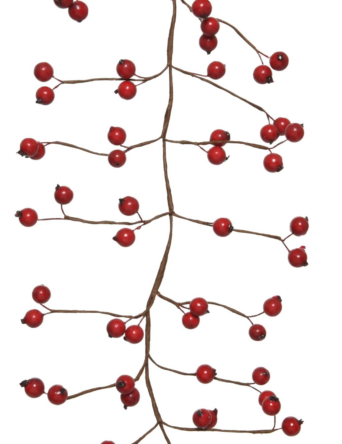 16070_1|3ce085ab0ad74a52b749d15c4452898e