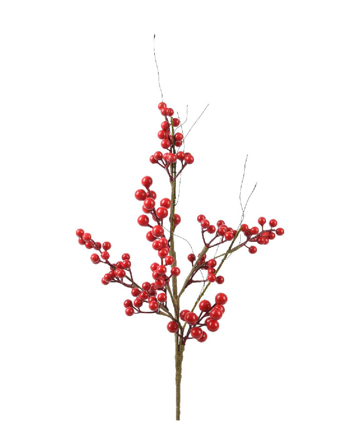 16071_1|bfe4b36d3523a5c324be13c5ae0ef7b3