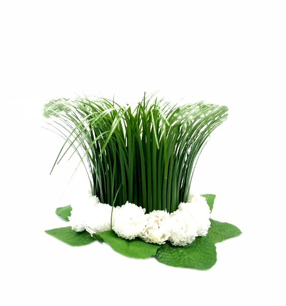 16210_1|52e81891dac4bc4bb023245c510aad96