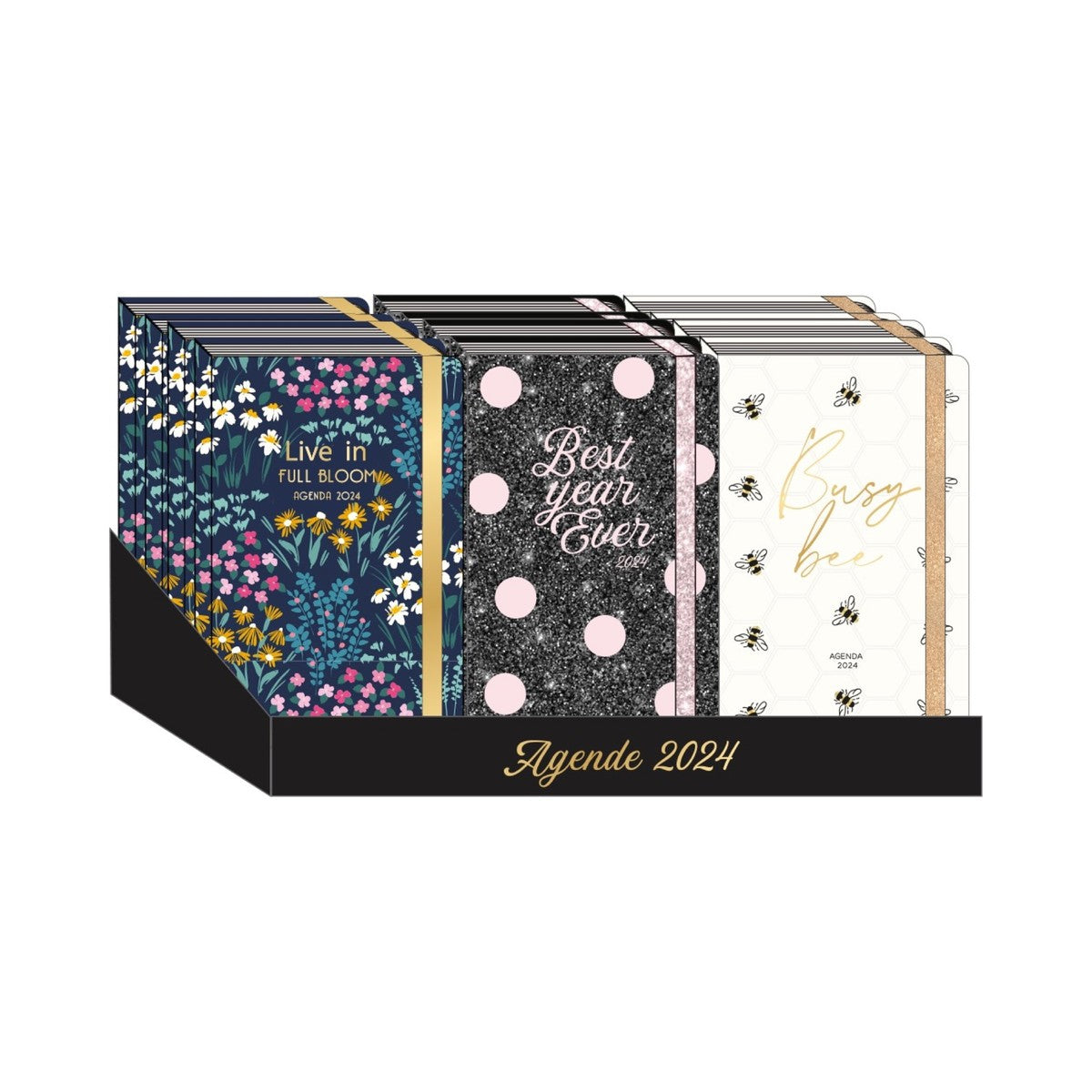 Agenda Giornaliera Piccola 12 Mesi Tri-Coastal Assortita