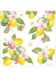 16446_1|dfb273370d843a2a917a369b5084d7ec