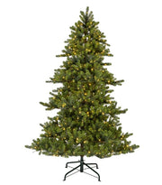 Albero Di Natale Pino Winnipeg Con Micro LED 300cm