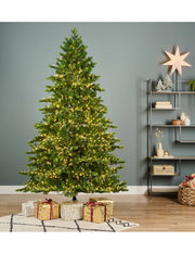 Albero Di Natale Galloway Spruce 4000 LED h210cm