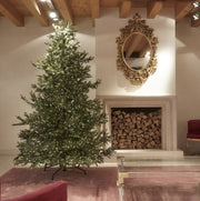 Albero Di Natale Pino Imperial 300cm Con Luci 6000 MicroLed