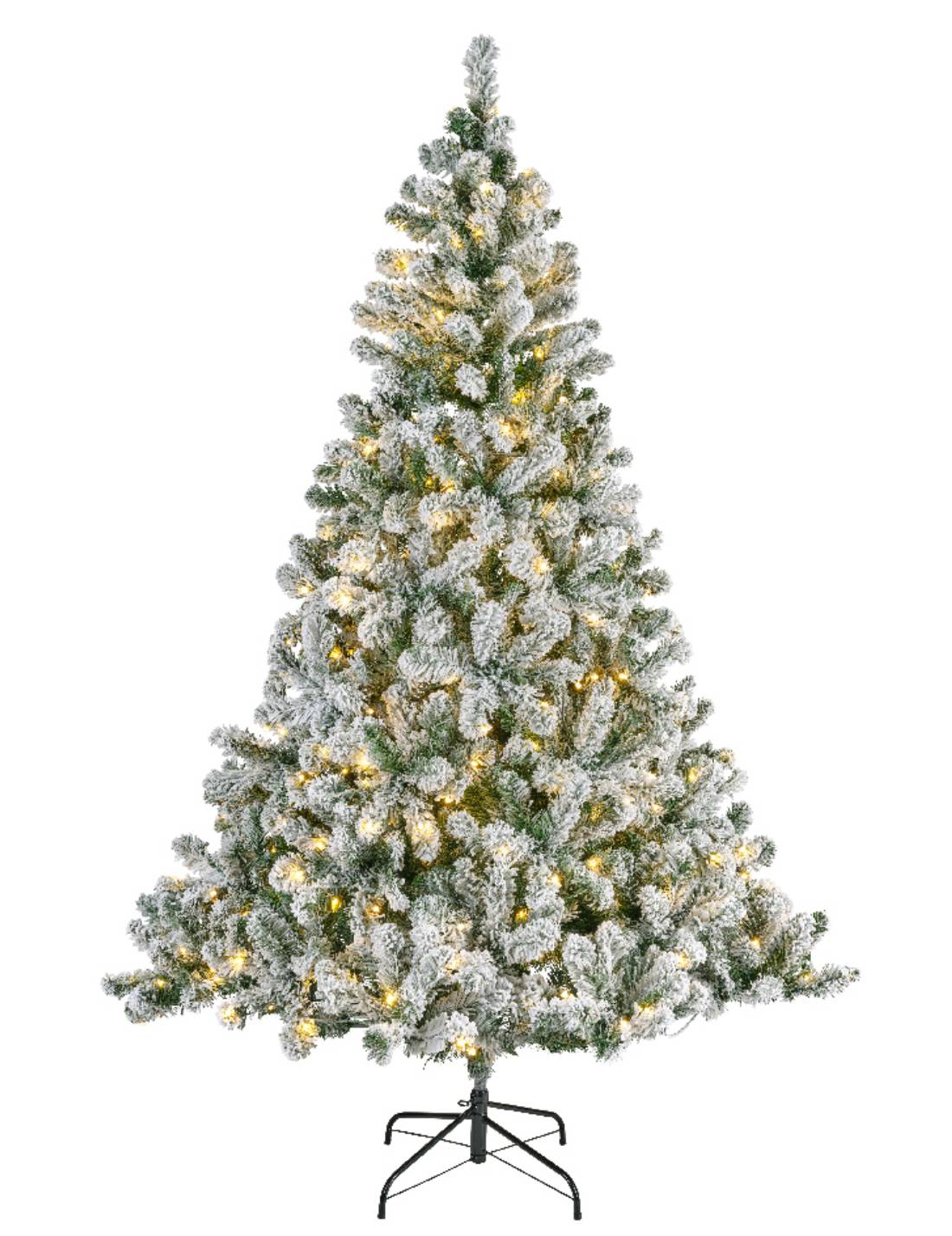 16850_1|63e3a16cc490403365a1ac889e57d43f