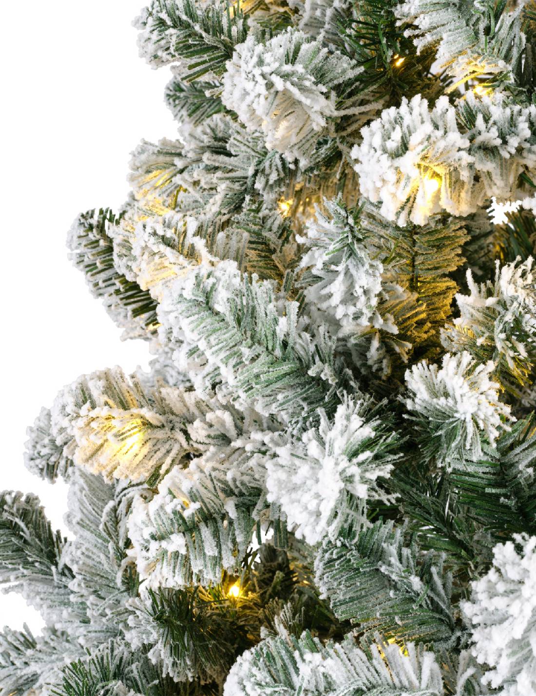 16850_3|1ad8911f6099383857e7b4935c74b949