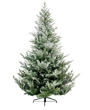 16864_1|1f7c9624bc08e80bb9b1db30fff41476