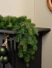 16909_3|3c3d48db0567b22c634738491f5e4706