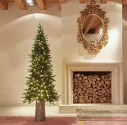 Albero Di Natale Pino Slim 180cm Con 360 Mini Led Verde - EDG