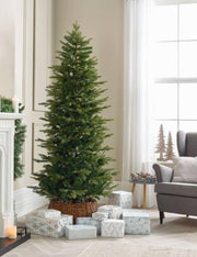 16929_2|93b11e36335c041df0d0f7ee20db2283