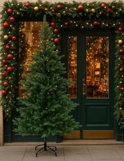 Albero Di Natale Grandis Fir 240cm