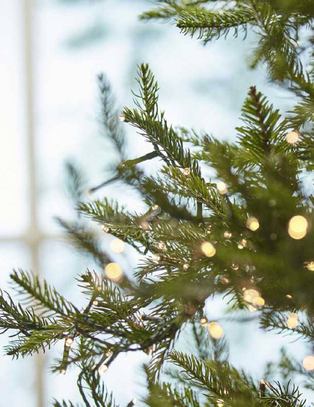 Albero Di Natale EDG Pino Luxury 3000 LED 180cm