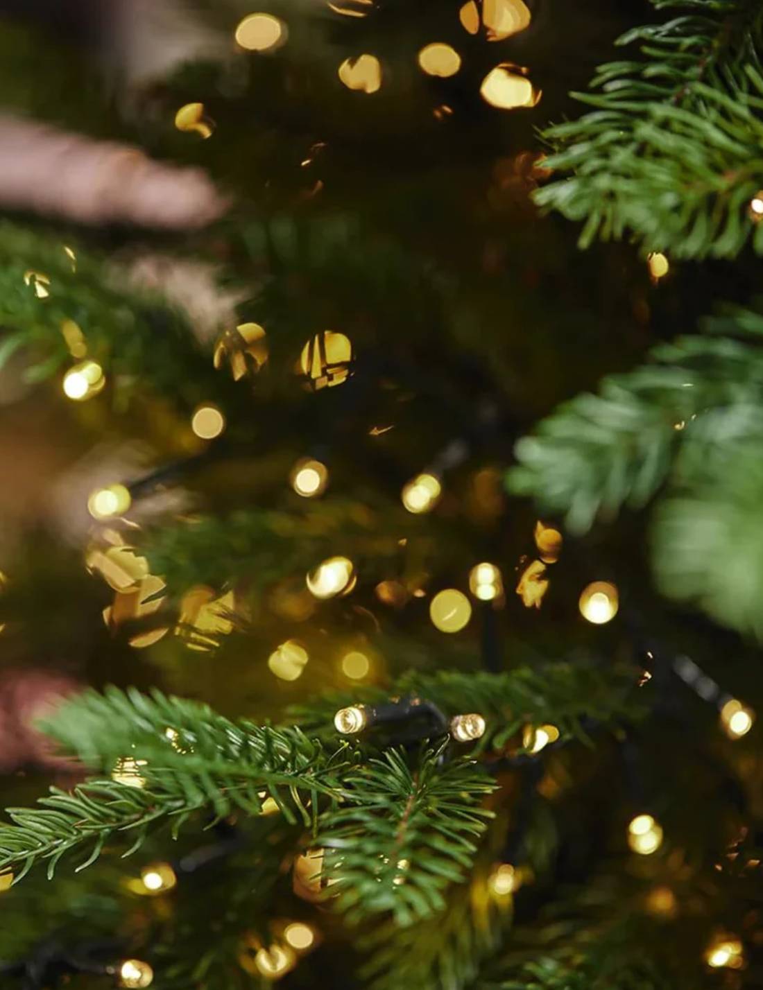 Albero Di Natale EDG Pino Luxury 4000 LED 210cm