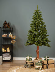 Albero Di Natale Abete Tiaga Fir h180cm