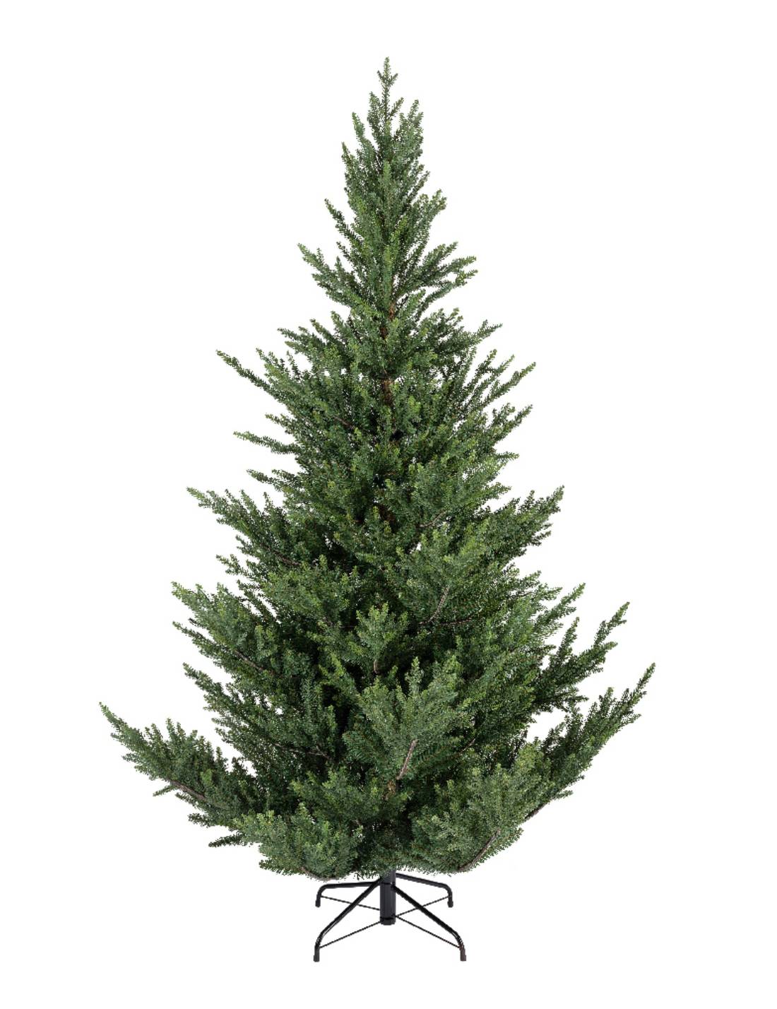 17034_1|7dedc05da8f0350d8ab89dcaae3069ad