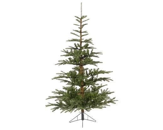 Albero Di Natale Abete Nobilis Fir h240cm