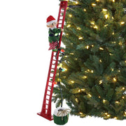 17152_1|346d4797a9d13a76752c6d49876b2a77