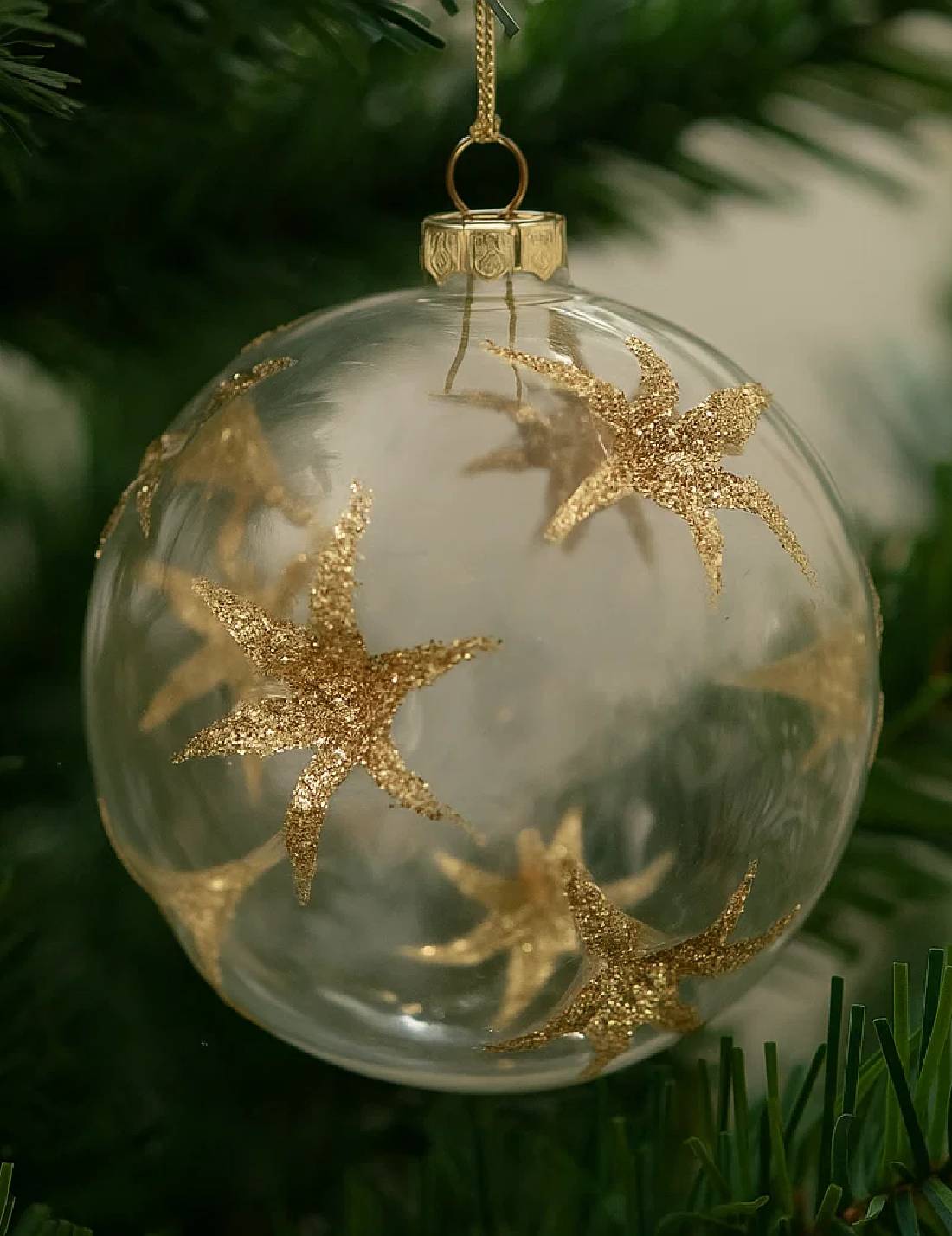 17269_2|d1aa0caad1e31a1b4d44ecdc4e4f70f6