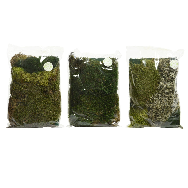 Addobbo Di Natale Erbetta Per Presepe 100gr Colore Assortito