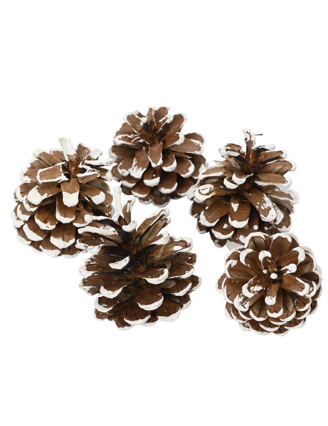 Set 5 Pigne Natalizie Innevate 15cm