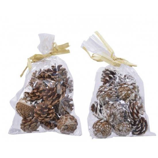 18017_1|750b81874161b1a5f4da2e75c458d1a8