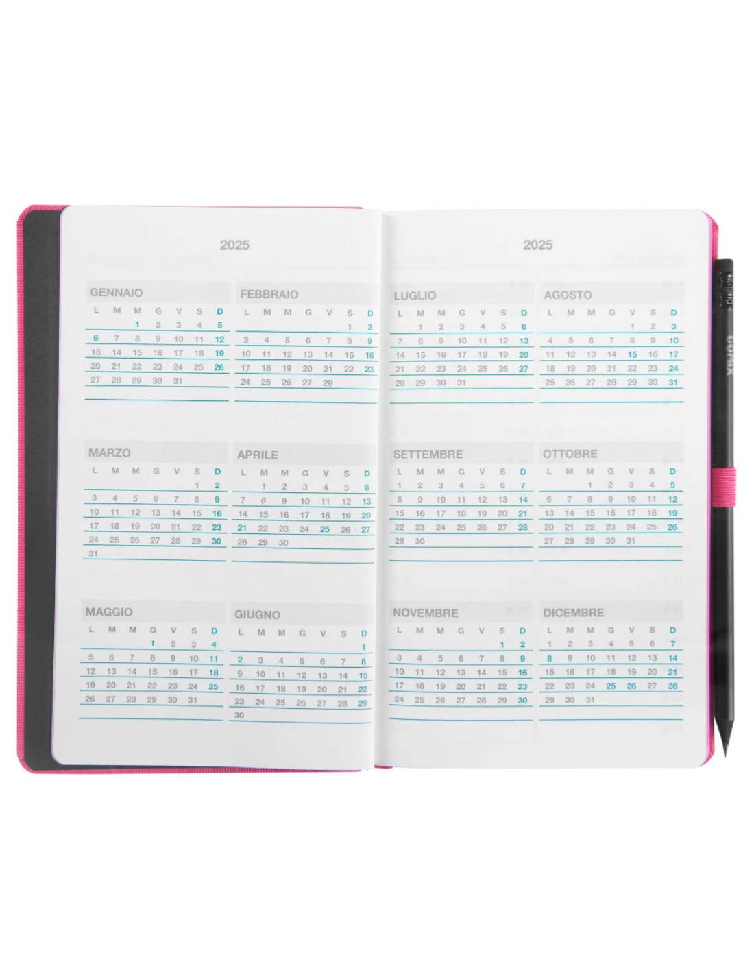 Agenda Settimanale 2025 Comix Rosa Grande 12 Mesi Con Matita