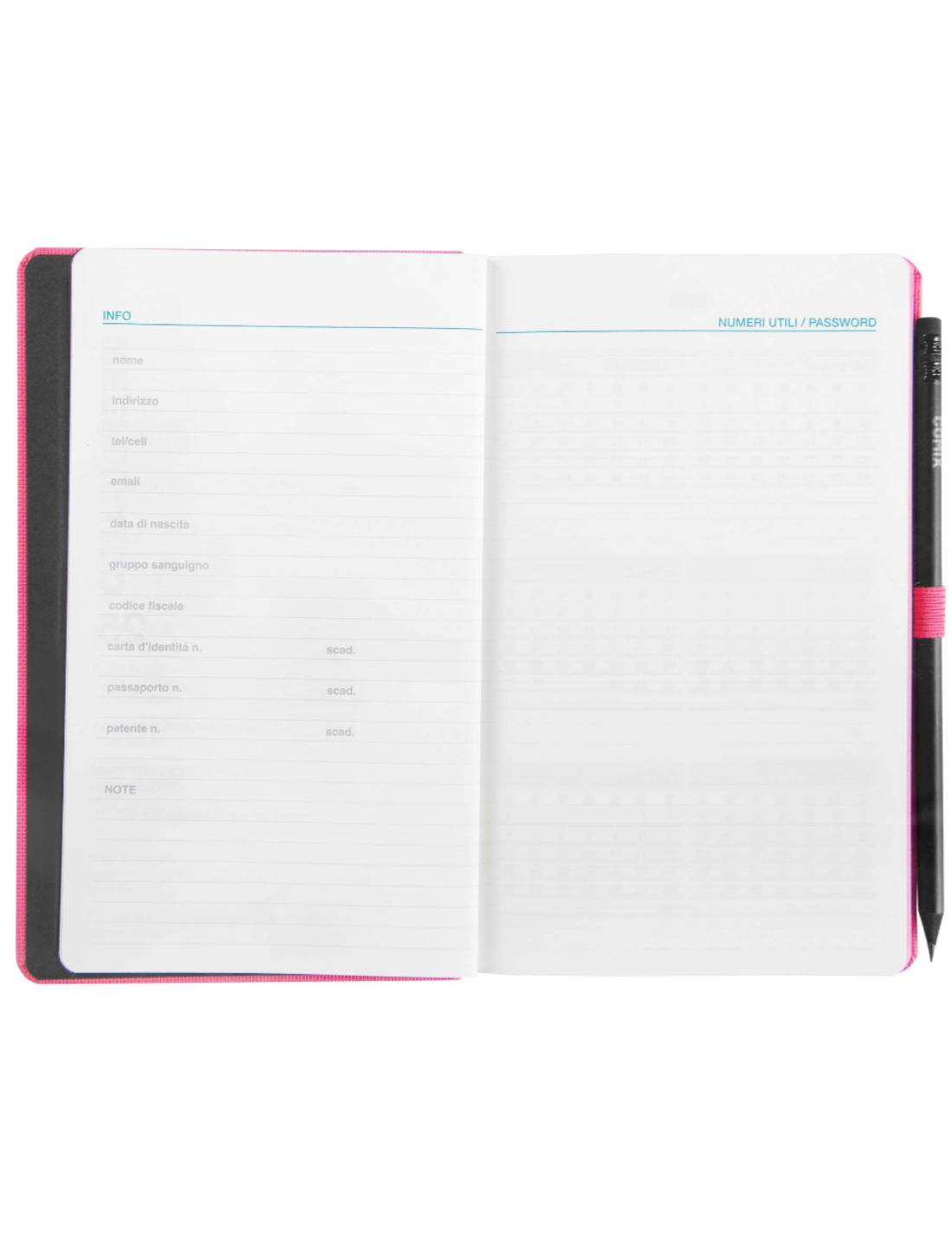 Agenda Giornaliera 2025 Comix Rosa Large 12 Mesi Con Matita