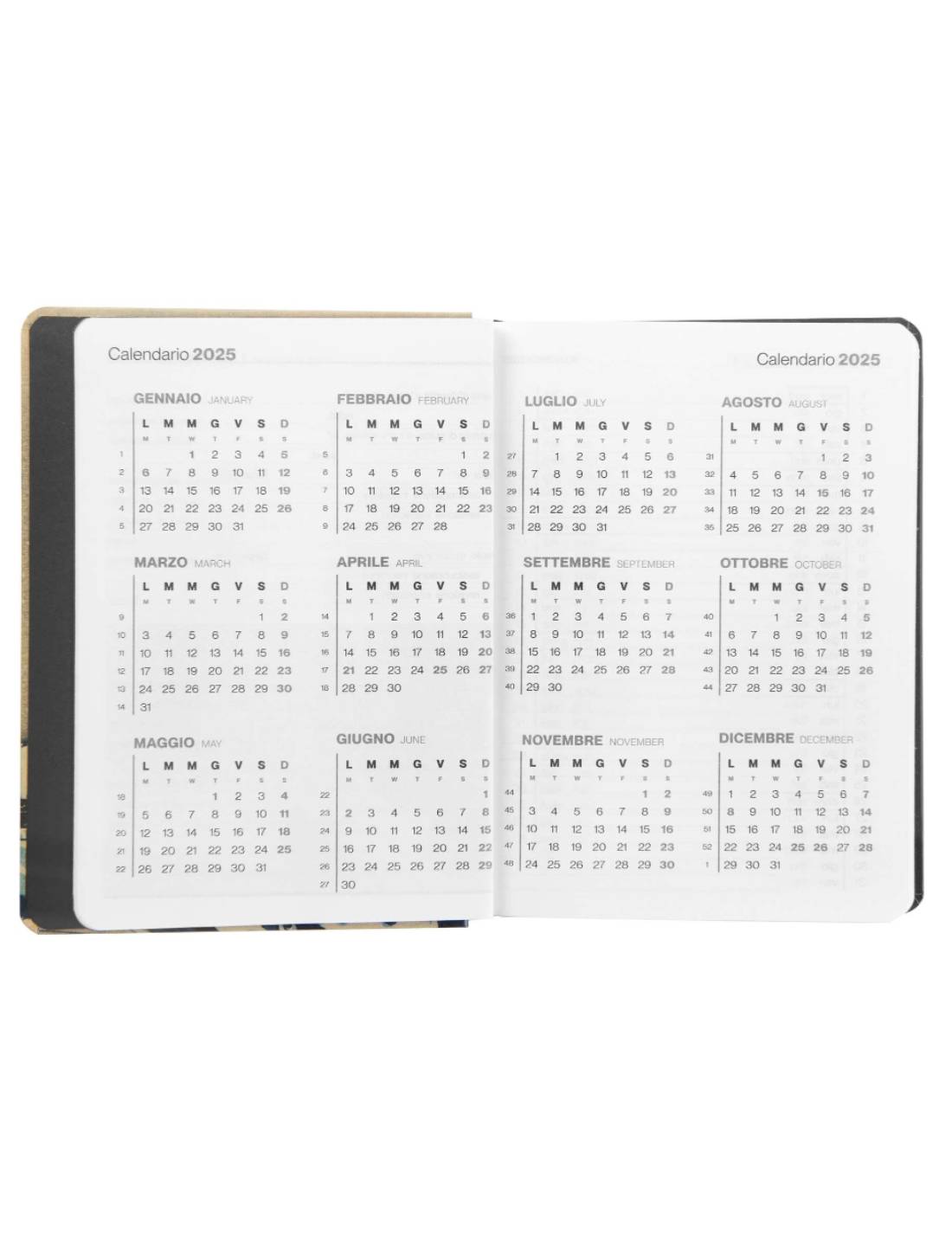 Agenda Giornaliera 12 Mesi 2025 Halta Definizione Iris Mini