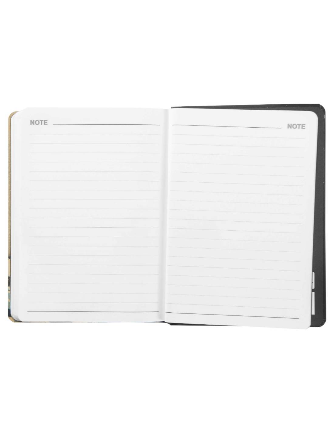 Agenda Giornaliera 12 Mesi 2025 Halta Definizione Iris Mini