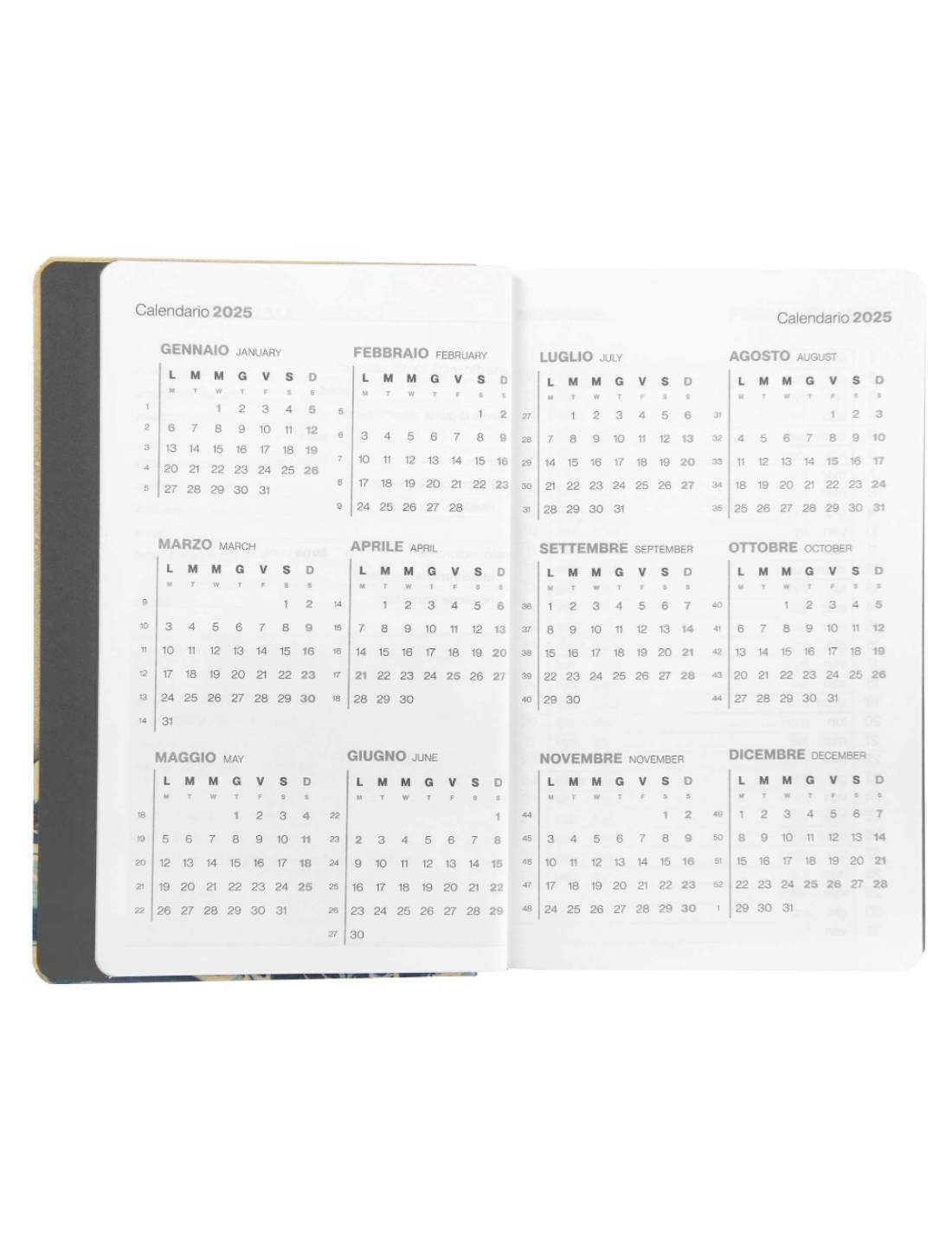 Agenda Settimanale 12 Mesi 2025 Halta Definizione Onda 21cm