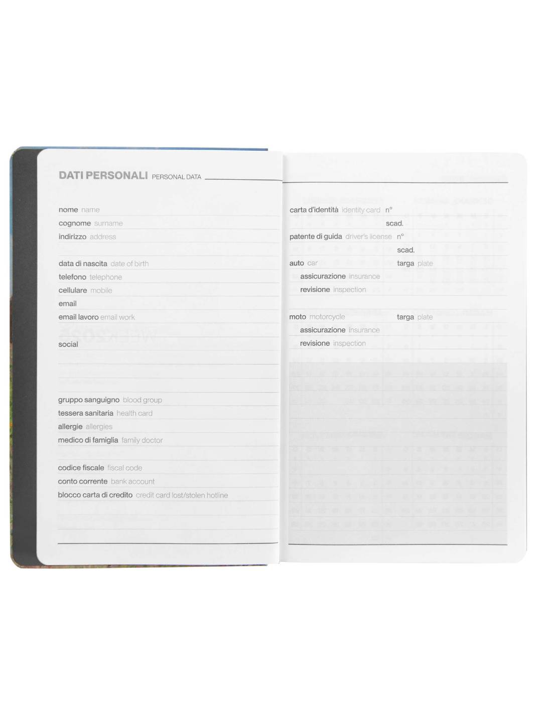 Agenda Settimanale 12 Mesi 2025 Halta Definizione Passeggiata Large 21cm