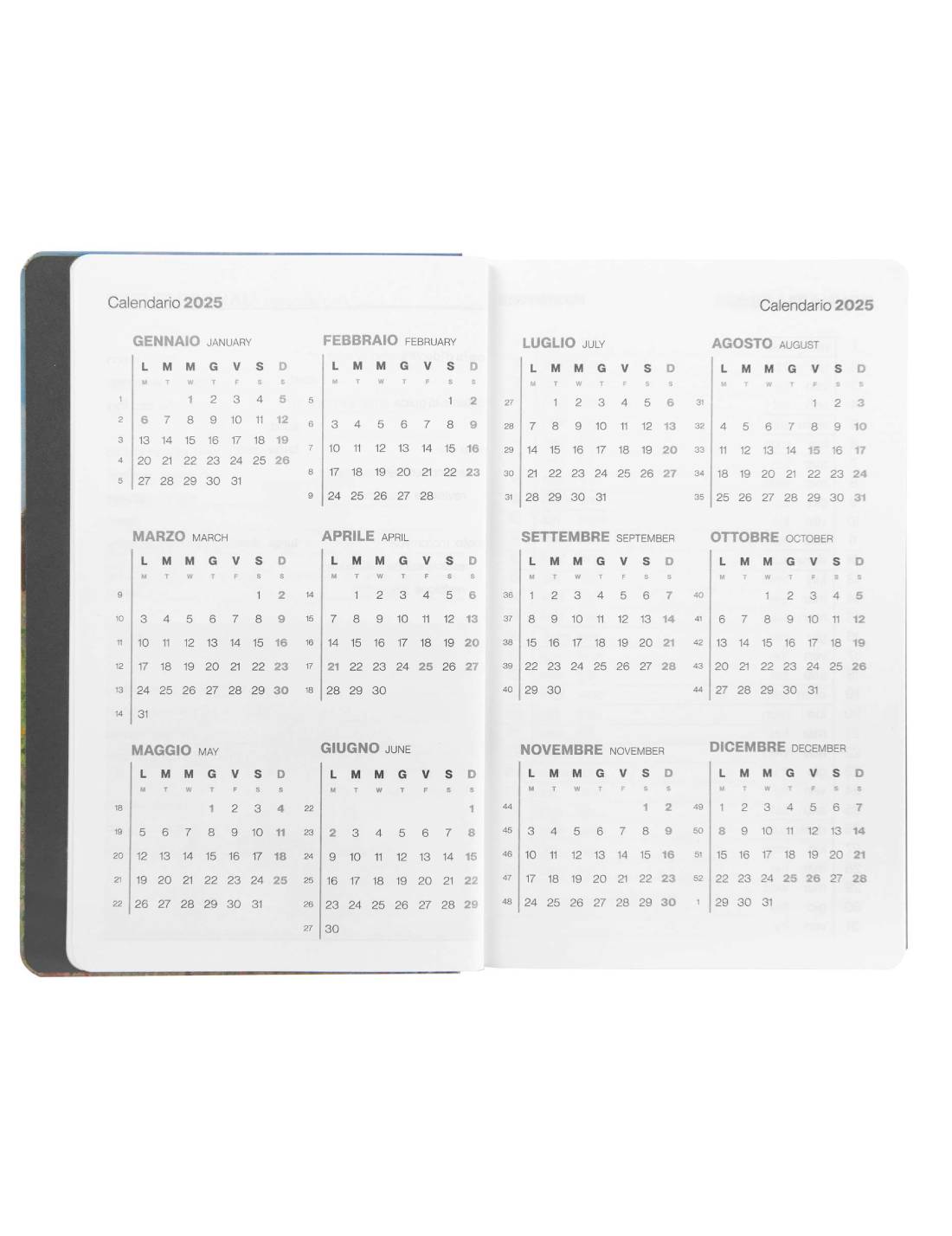 Agenda Settimanale 12 Mesi 2025 Halta Definizione Passeggiata Large 21cm