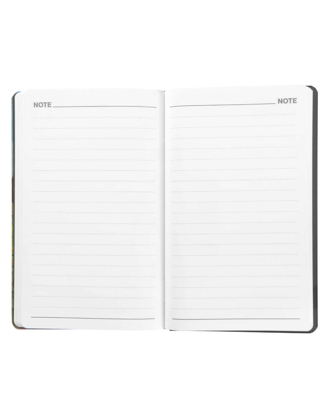 Agenda Settimanale 12 Mesi 2025 Halta Definizione Passeggiata Large 21cm