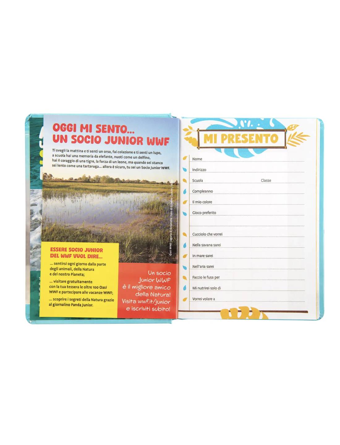 18411_1|da72a56624b2c83b8f6530e7c4bb7f82