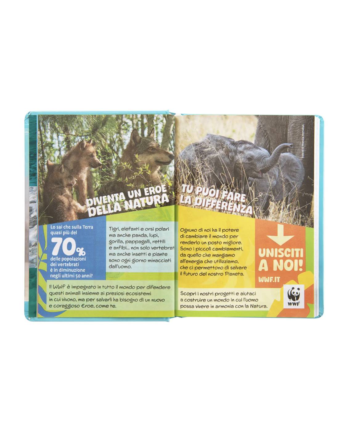 18411_2|4ff0eaa636d1fdebc5050eac6e513d7b