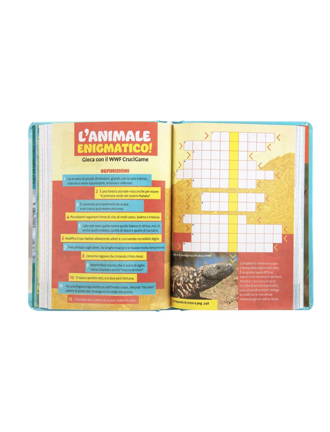 18411_3|8ec3b16bb2eb011a0eb12c5f5ede34d5