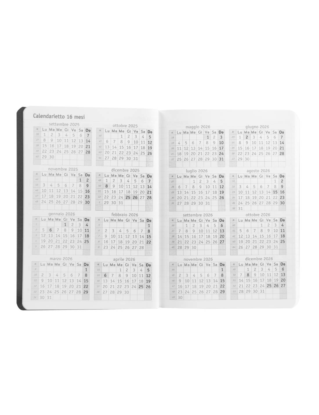 18461_1|52892a00e17d941e895cbe159bdd0918