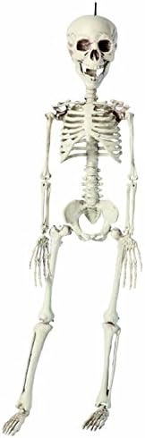 Scheletro Da Appendere 76cm Ornamenti Halloween